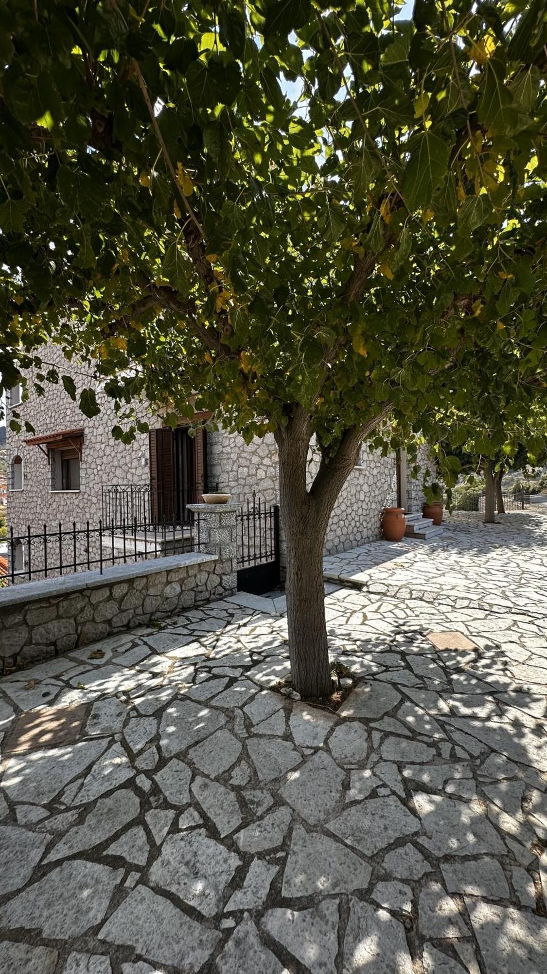 Апартаменты Το Πέτρινο Kyriaki Экстерьер фото